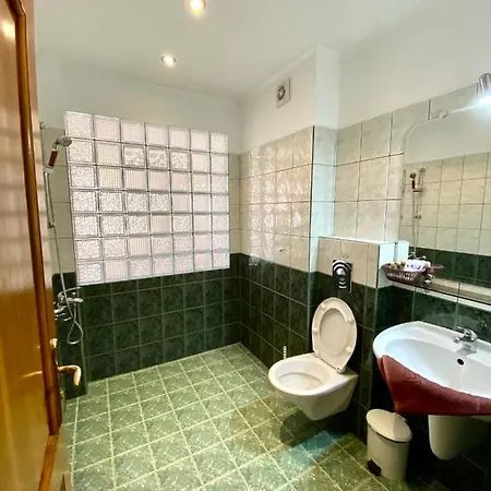 Family The Golden Fish 3* ソゾポル